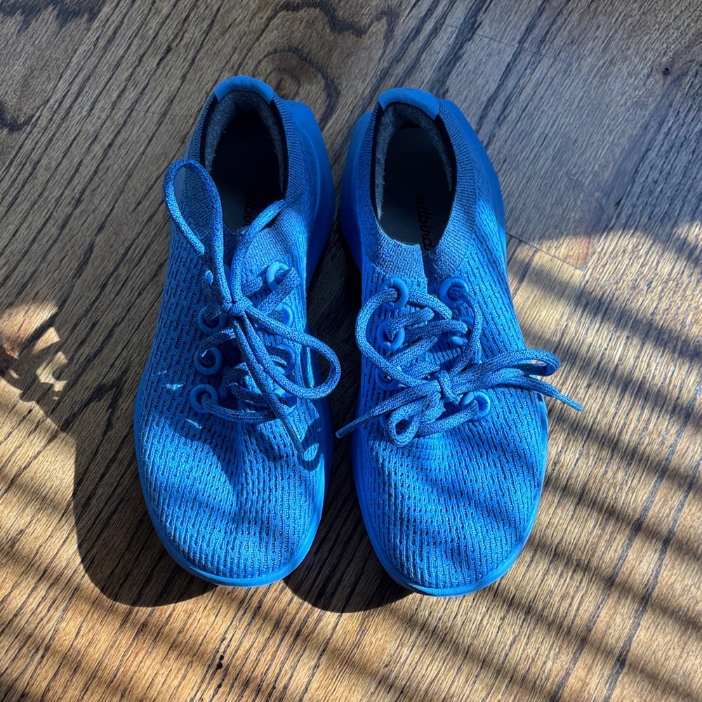 Allbirds Women's Blue Sneakers